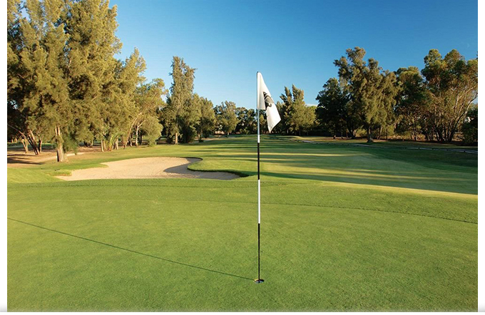 18 holes Penina Golf Course